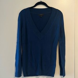 Express Navy Blue V-Neck Sweater